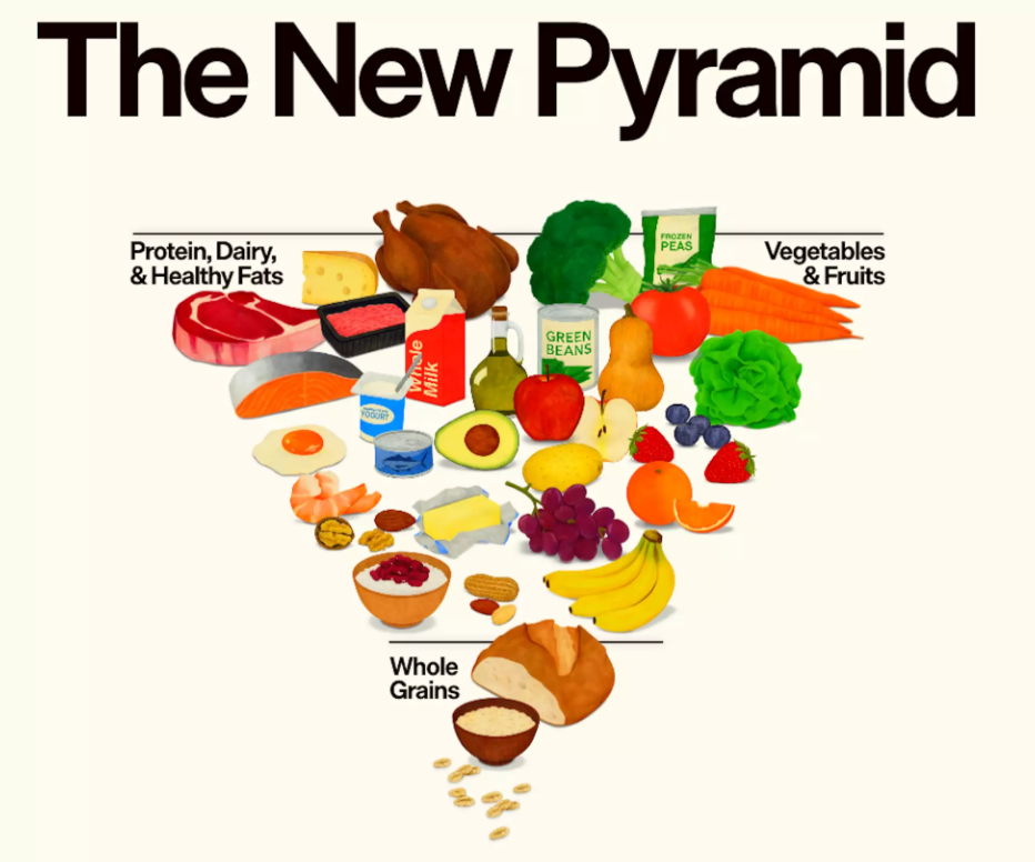A ALIMENTAÇÃO HUMANA